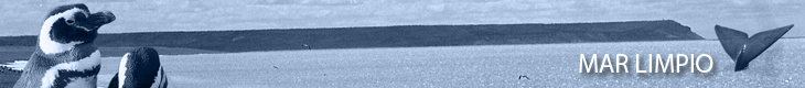 Mar Limpio