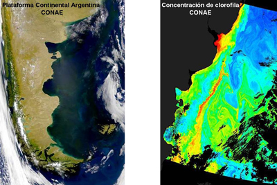 Imágenes del litoral argentino y de la concentración de clorofila